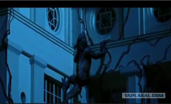 Необычная банда в Южной Африке терроризирует людей