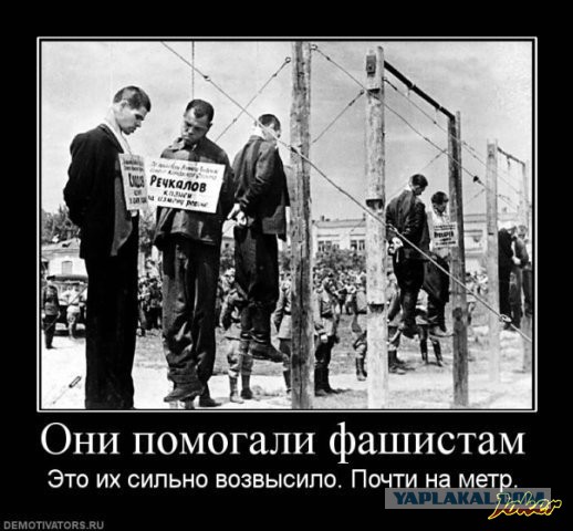 Рынок рабов в Ростовской области