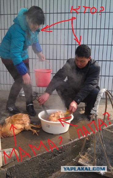 Мой родной город