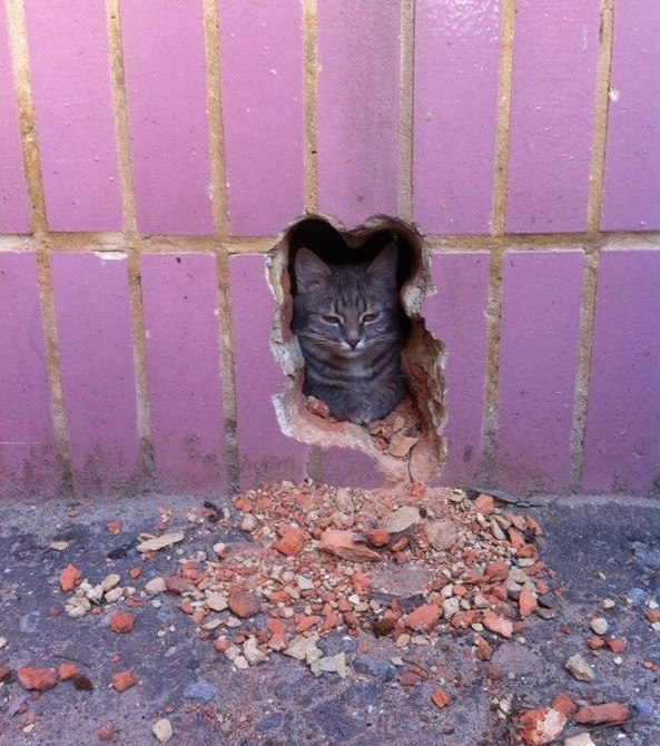 http://s00.yaplakal.com/pics/pics_original/6/6/0/3272066.jpg