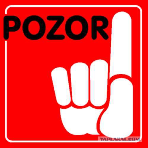 Ротенбергу заплатят. Из российского бюджета.