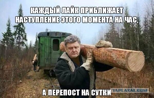 Порошенко назвал рейд под Иловайском