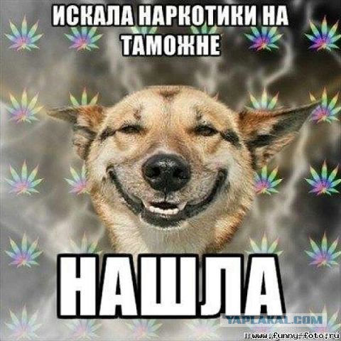 Веселая подборка
