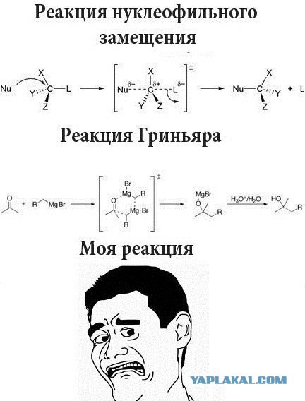 Картинки из сети на вторник