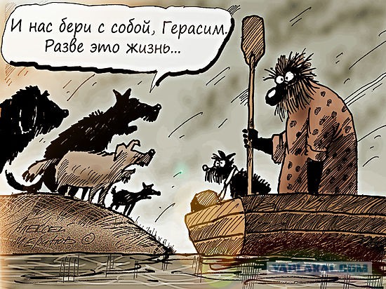Похоже началось