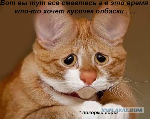 Уличный клоун отжигает