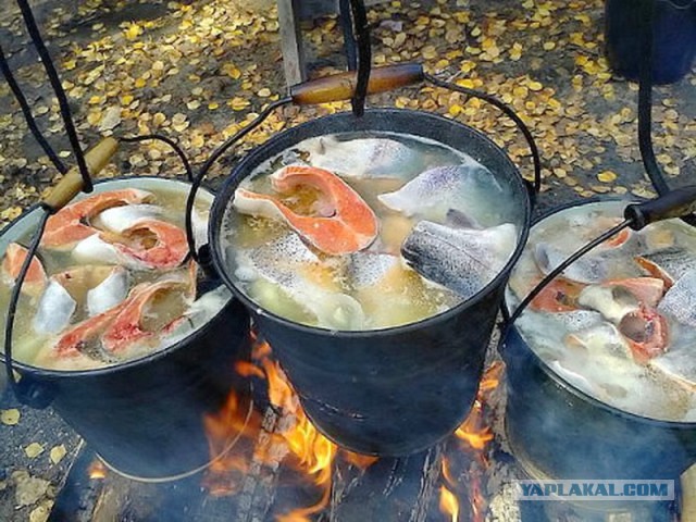 Чукотские щуки-монстры!
