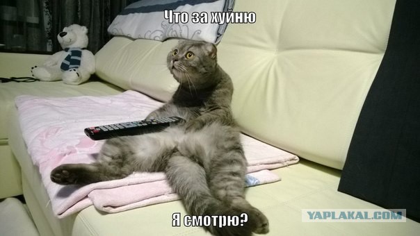 Трешnet