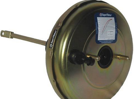 6 доказательств эволюции, сохранившихся на нашем теле