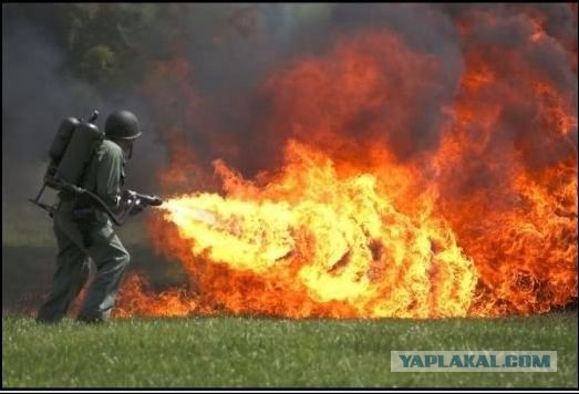 Подборка интересных и веселых картинок