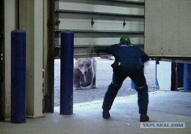 Неприятности случаются