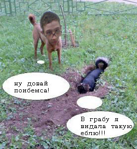 Фотожаба: да здесь где-то недалеко!