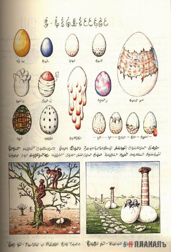 Codex Seraphinianus - что курил автор?