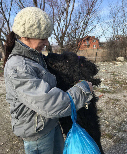 Новороссийский Хатико: пес два месяца ждал свою хозяйку из больницы