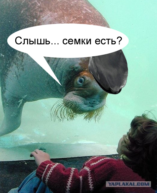 Встреча цивилизаций