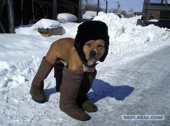 Дембель на отдыхе