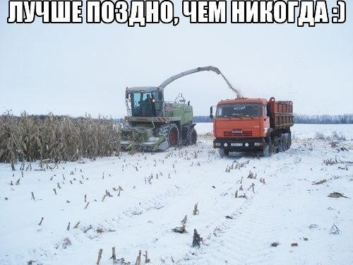 Нестандартный юмор
