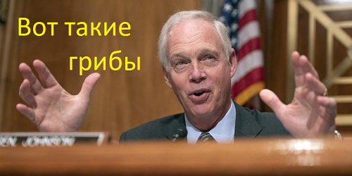 Собиравшая грибы в США эстонка получила повестку в суд, полицейские пообещали посадить ее добычу обратно
