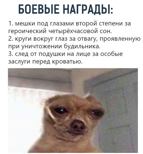Вбей себе в голову