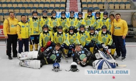 Чемпионат мира по хоккею с мячом 2013
