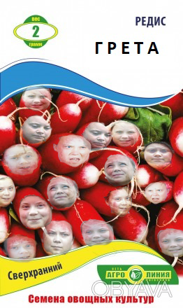 Грета - редиска