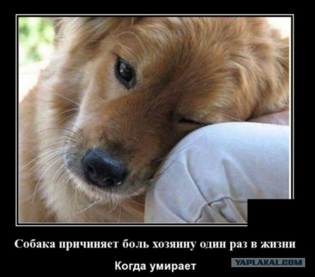 Бредзона 23.05.20
