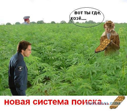 Битва фотожаберов (команда №1), Ночь в музее