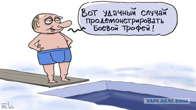 Найди ребенка по хэштэгу. Или в обезьяннике…