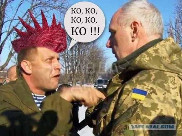 Как проходит курортный сезон на Азовском побережье в ДНР