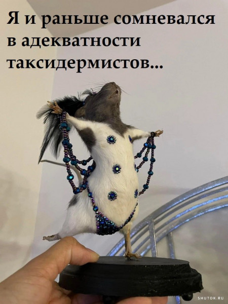 Так себе картинки 02.04.22