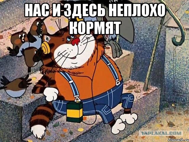 Идиоты на Дону