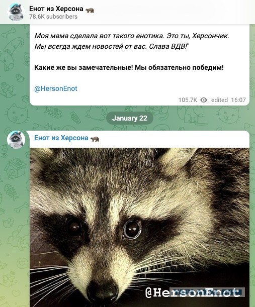 Енот из Херсона заговорил после получения российского паспорта
