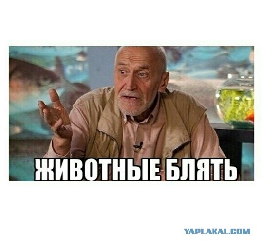 Заседание суда