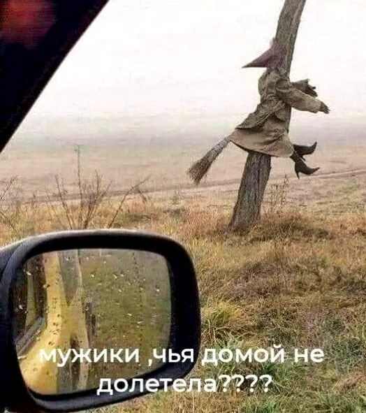 Фарш из баянов