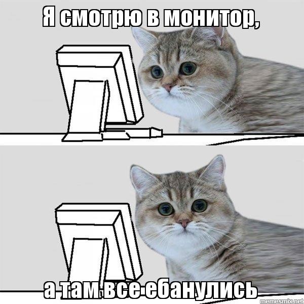 Кото-броуновское движение
