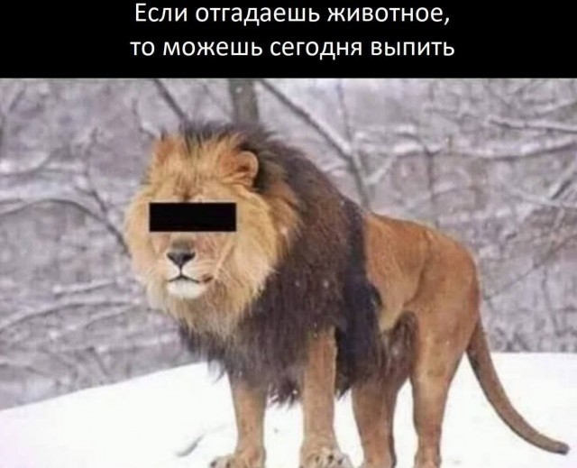 С 1 июля Россия возобновит регулярное авиасообщение с Кубой, —  вице-премьер РФ