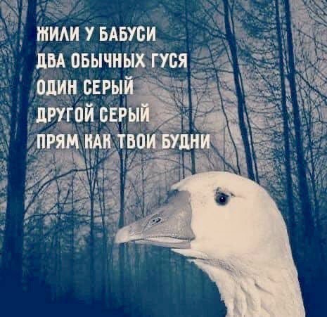 Всего понемногу. От 12.04.2024