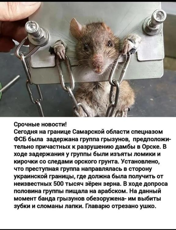 Задержаны виновные в прорыве дамбы