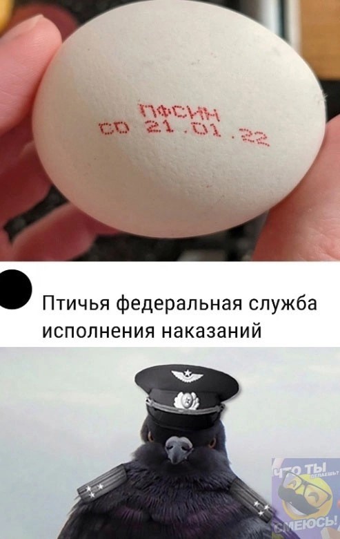 Нуштош 04.10.2024