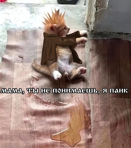 Мои избранные картинки часть 1
