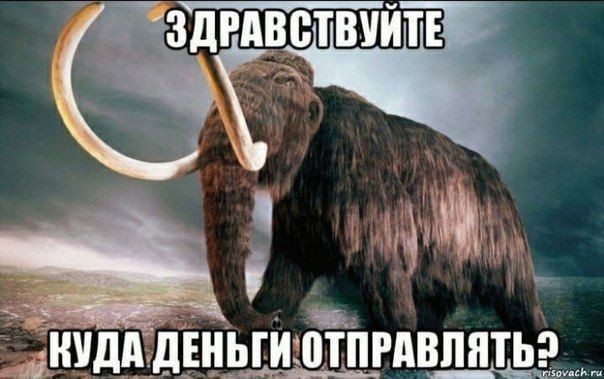 Предприимчивый продавец открыл незаконное казино