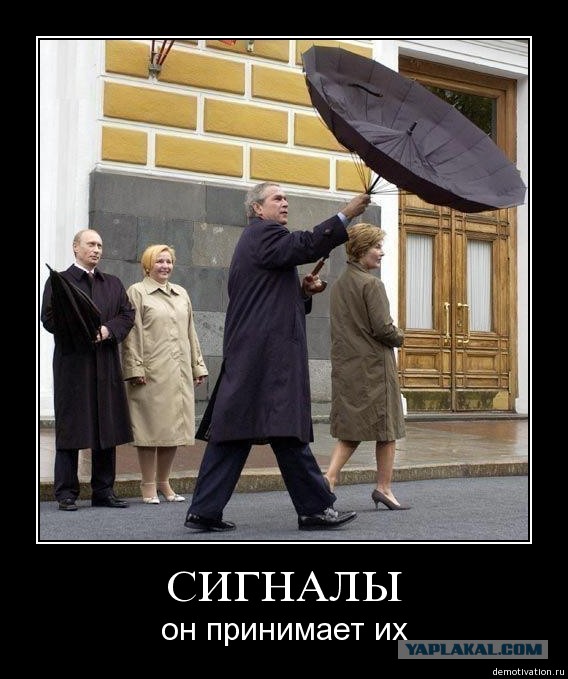 Раскопки архивов картинок.