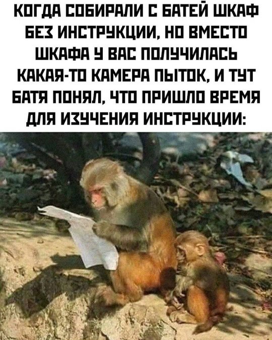 "Запоминайте, показываю один раз..."