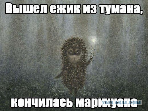 Зевающего ёжика вам на ночь