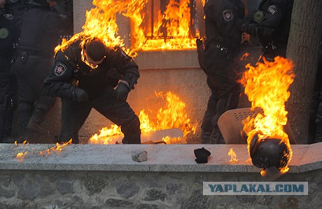 Майдан глазами милиции и Беркута