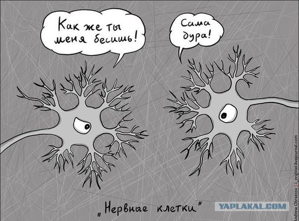 Любителям хитросплетений русского языка