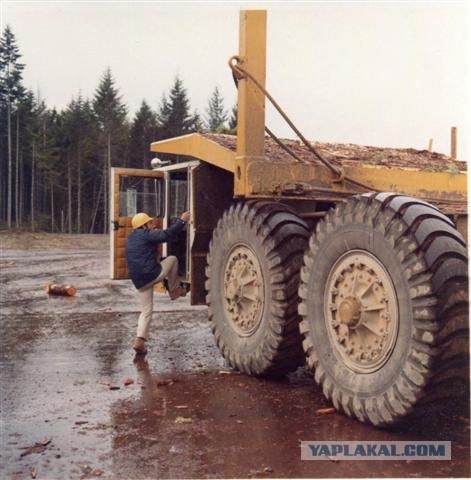 Игра на ЯПе: Угадай АВТО-8