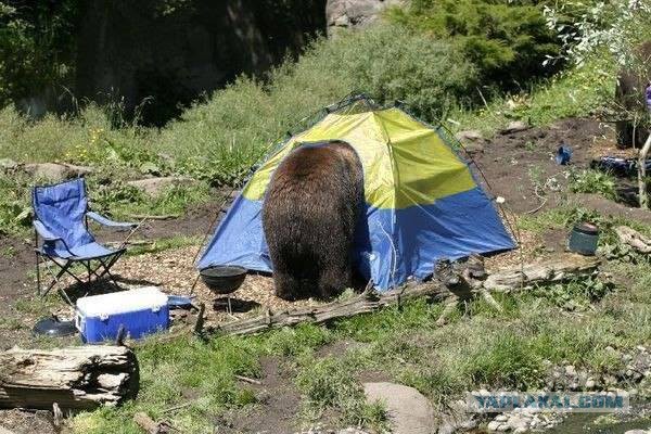 Мы просто берцы шнуровали!