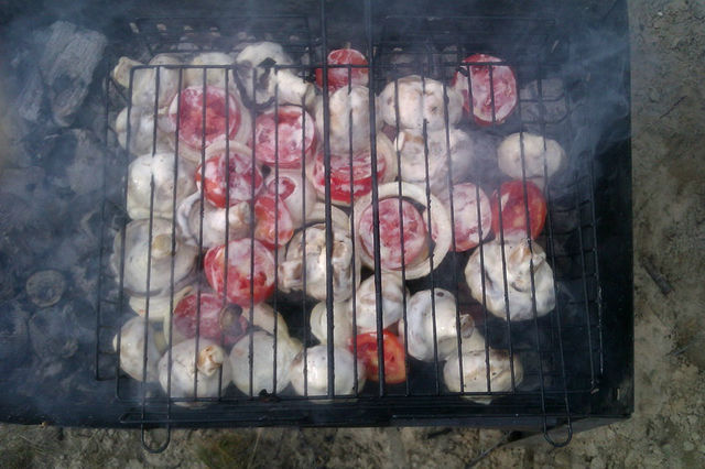 Любителям шашлыка