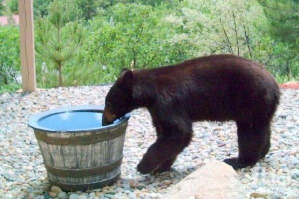 10 самых распространенных суеверий